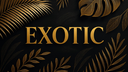 💝🤍ＥＸＯＴＩＣ🤍💝 Discord Server Banner