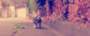 insomnia 𓆩 Discord Server Banner