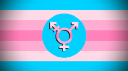 Transfem Hangout Discord Server Banner