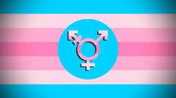 Transfem Hangout Discord Server Banner