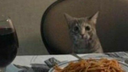 BMTG Discord Server Banner
