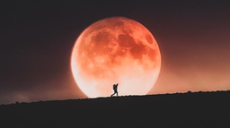 Angelos Wolfe Discord Server Banner