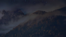 Mistwood Discord Server Banner
