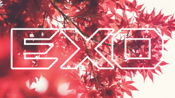 Exotic Discord Server Banner