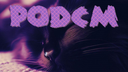 Plethora of Discord Cat Memes Discord Server Banner