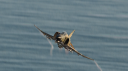 Heatblur Simulations Discord Server Banner
