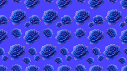 Banu's Community Discord Server Banner