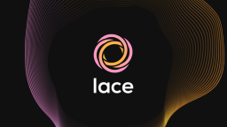 Lace Discord Server Banner