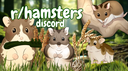 r/hamsters Discord Server Banner
