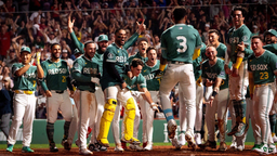 Boston Red Sox Nation Discord Server Banner