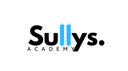 Sully's Academy Lite Discord Server Banner