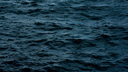 THE SEA / BAKIM ASAMASINDA Discord Server Banner