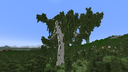 Klaipeda Discord Server Banner
