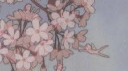 Safe Haven Discord Server Banner