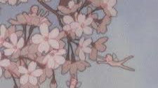 Safe Haven Discord Server Banner