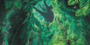 𝔉𝔬𝔯𝔢𝔰𝔱 Discord Server Banner