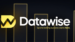 DataWise Discord Server Banner