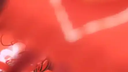 March 7th Discord Server Banner