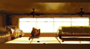 Snap Shot Studios Discord Server Banner