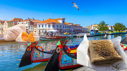 Biocenose de Aveiro Discord Server Banner
