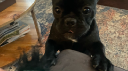 Tux's Mythical Realm Discord Server Banner