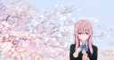 애니 라이프  💮 Discord Server Banner