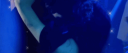 Lovebite 🦋 Discord Server Banner