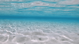 𓇼 ࣪ 𓈒 Adi’s Tropical Beach ⭒ 𓆉 ⭒𓈒 Discord Server Banner