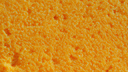 spongcord Discord Server Banner