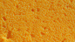 spongcord Discord Server Banner