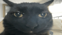 Jalloworld 🌐 Discord Server Banner