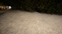 🤎　july　𓂃　ask2dm　⊹　vcs　⊹　friends　⊹　sociαl　⊹　giveαwαys　⊹　egirls　⊹　non-dating　⊹　sfw Discord Server Banner