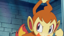Eternal Pokemon Paradise Discord Server Banner
