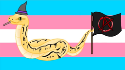 Gender Anarchy! Discord Server Banner