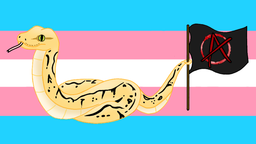 Gender Anarchy! Discord Server Banner