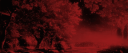 NED Discord Server Banner