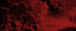 NED Discord Server Banner