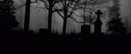 NED Discord Server Banner