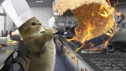 TC│The Cats Discord Server Banner