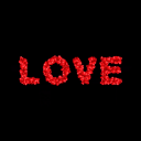 rose of love Discord Server Banner