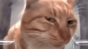 b3brov community Discord Server Banner