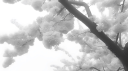 Ceribal Discord Server Banner