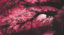 𝐃𝐞𝐯𝐢𝐥𝐓𝐞𝐚𝐦 Discord Server Banner