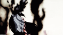 The Trade Hub Discord Server Banner