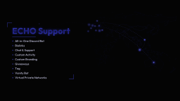 ECHO Support Discord Server Banner