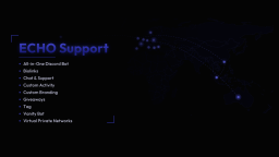 ECHO Support Discord Server Banner