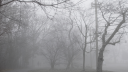 ▹   𝓛 𝑖𝑙𝑖𝑧 ೀ Discord Server Banner
