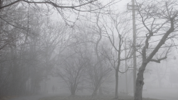 ▹ 𝓛 𝑖𝑙𝑖𝑧 ೀ Discord Server Banner