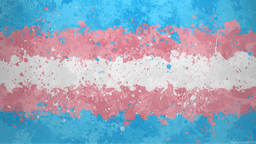 Transgender Discord Server Banner
