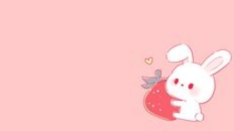 ๐พ๐๐๐๐๐ - ใใใใใ Discord Server Banner
